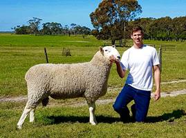 border8 trevor web Warra-M aim is to provide sheep farming operations with quality sound performing rams for crossbreeding pacifically over Merino flocks.