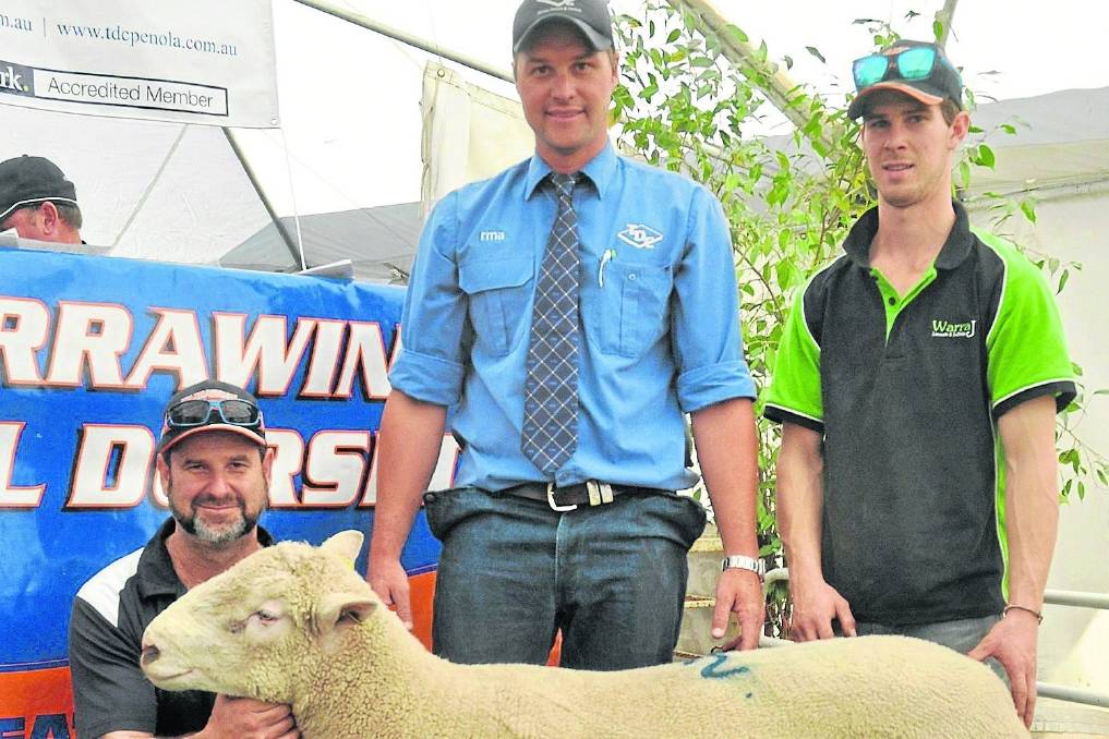 Warrawindi stud principal David Galpin and son Jordan (right) with Thomas DeGaris & Clarkson auctioneer Ashley Braun and the $1700 top-price Poll Dorset ram that sold to WT Harvey & Co, Strathdownie, Vic.