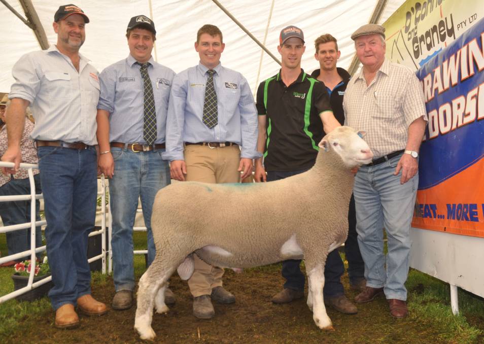 Warrawindi stud principal David Galpin, O'Connor & Graney auctioneer Ethan Bronca, Thomas DeGaris & Clarkson auctioneer Matt Treglown, Jordan and Mason Galpin with Trevor Little, Kongorong, who bought the $2100 top price ram.