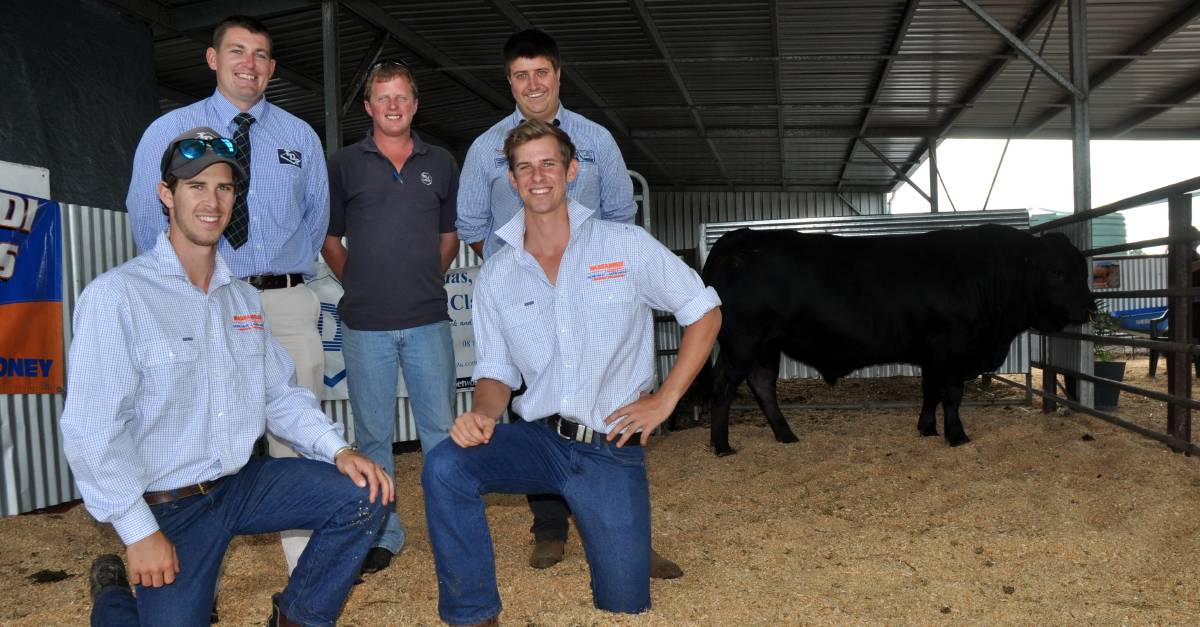 TOP BULL: Jordan and Mason Galpin (front) and the $9000 bull bought by Garth Manser (centre), P&L Livestock, with auctioneers Matt Treglown, TDC, and Ethan Bronca, O&G.