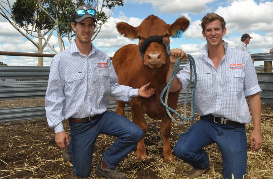 LUCKY CHARM: Warrawindi's Jordan and Mason Galpin, Penola, with the $3750 heifer Warrawindi Lucky Charm.