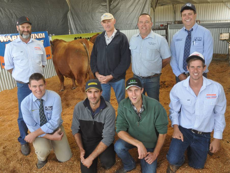 The $10,500 sale-topper with David Galpin, buyer Ian Mibus and sons Nathan and Aiden (front centre), South West Farmers' Michael Goldby, auctioneers Ethan Bronca and Matt Treglowan and Mason Galpin.